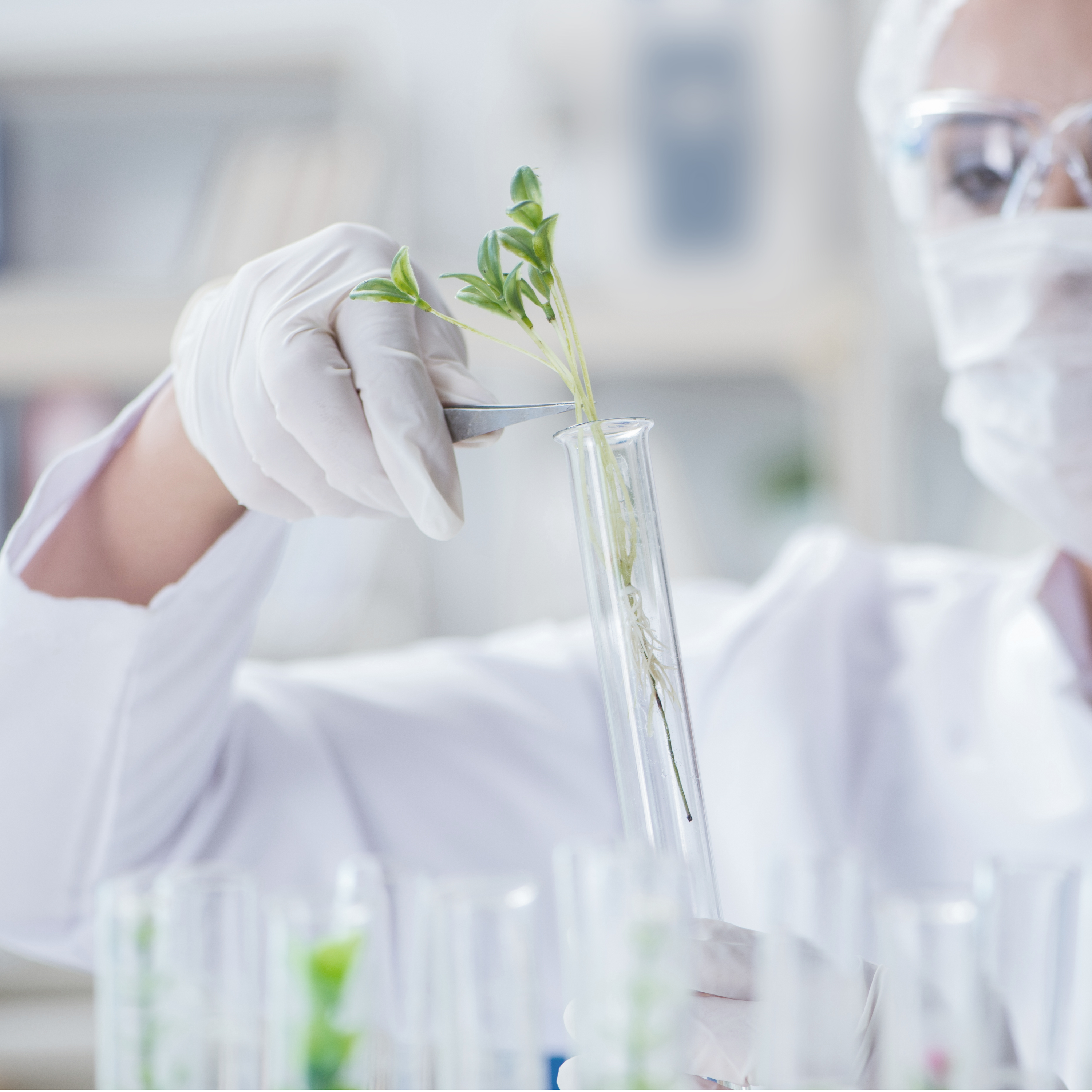 Codex Beauty Labs Bio scientist putting a plant in a flask