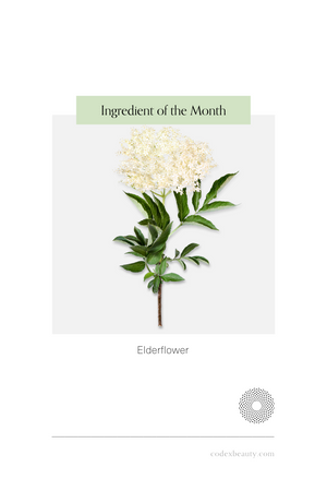 Ingredient of the Month: Elderflower