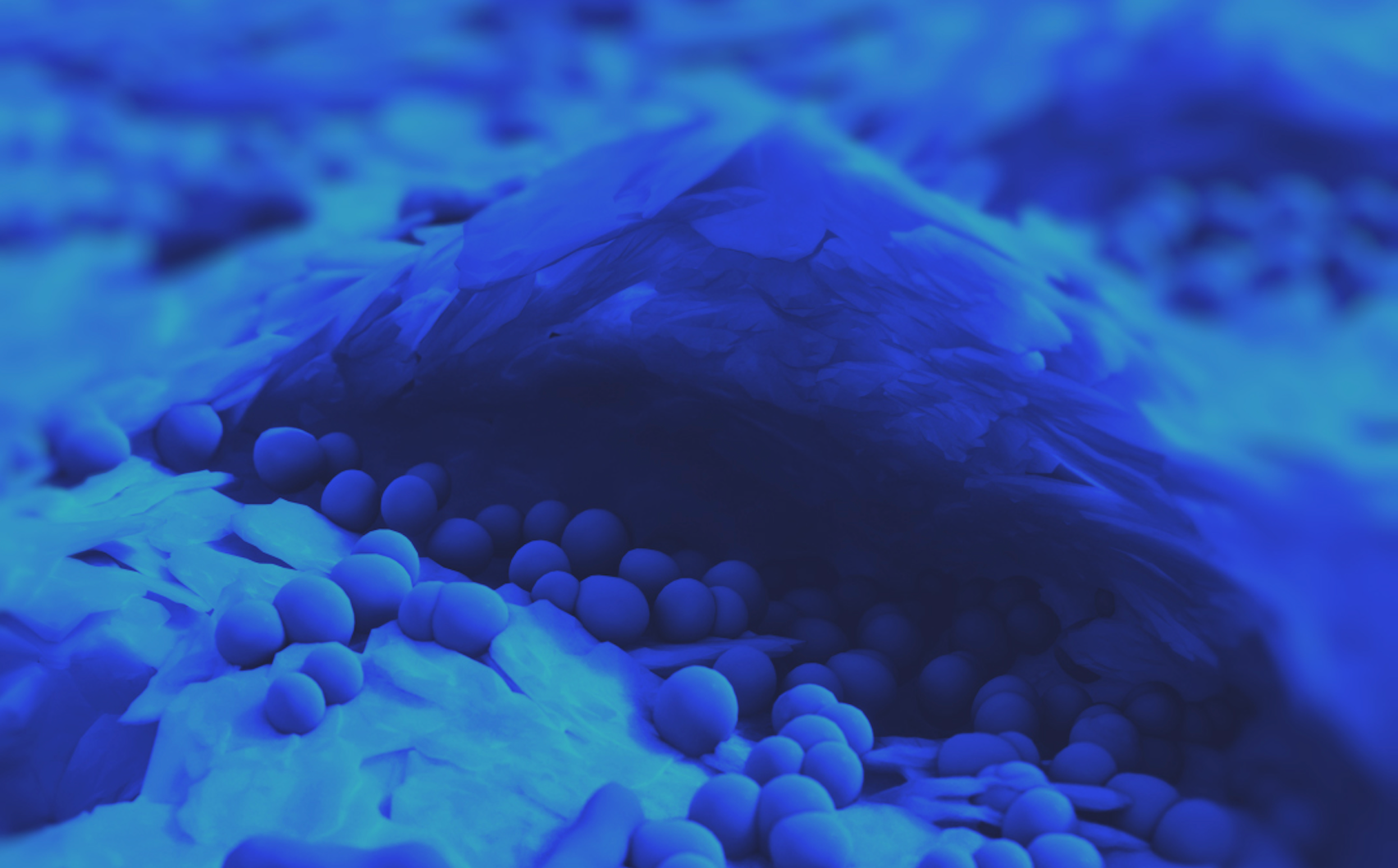 How Rebalancing Your Skin Microbiome Can Clear Your Skin Naturally