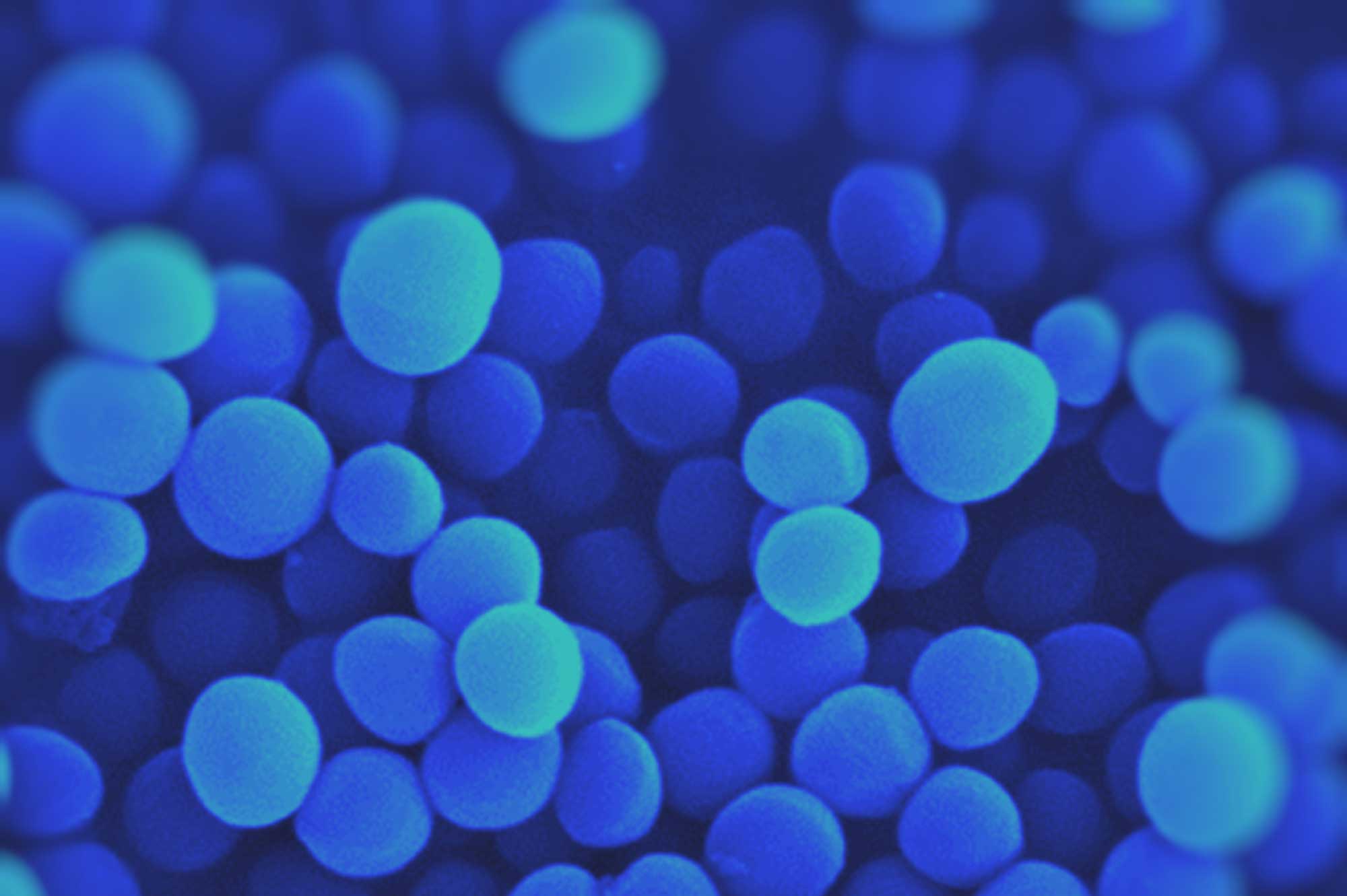 Staphylococcus aureus on Skin: Why It Causes Itch, Flare-Ups, and How Phage Lysates Can Help