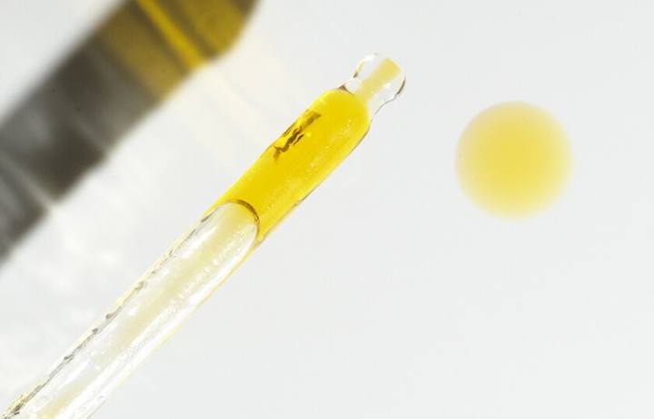 The Beauty of Oils, Codex Beauty Oils.