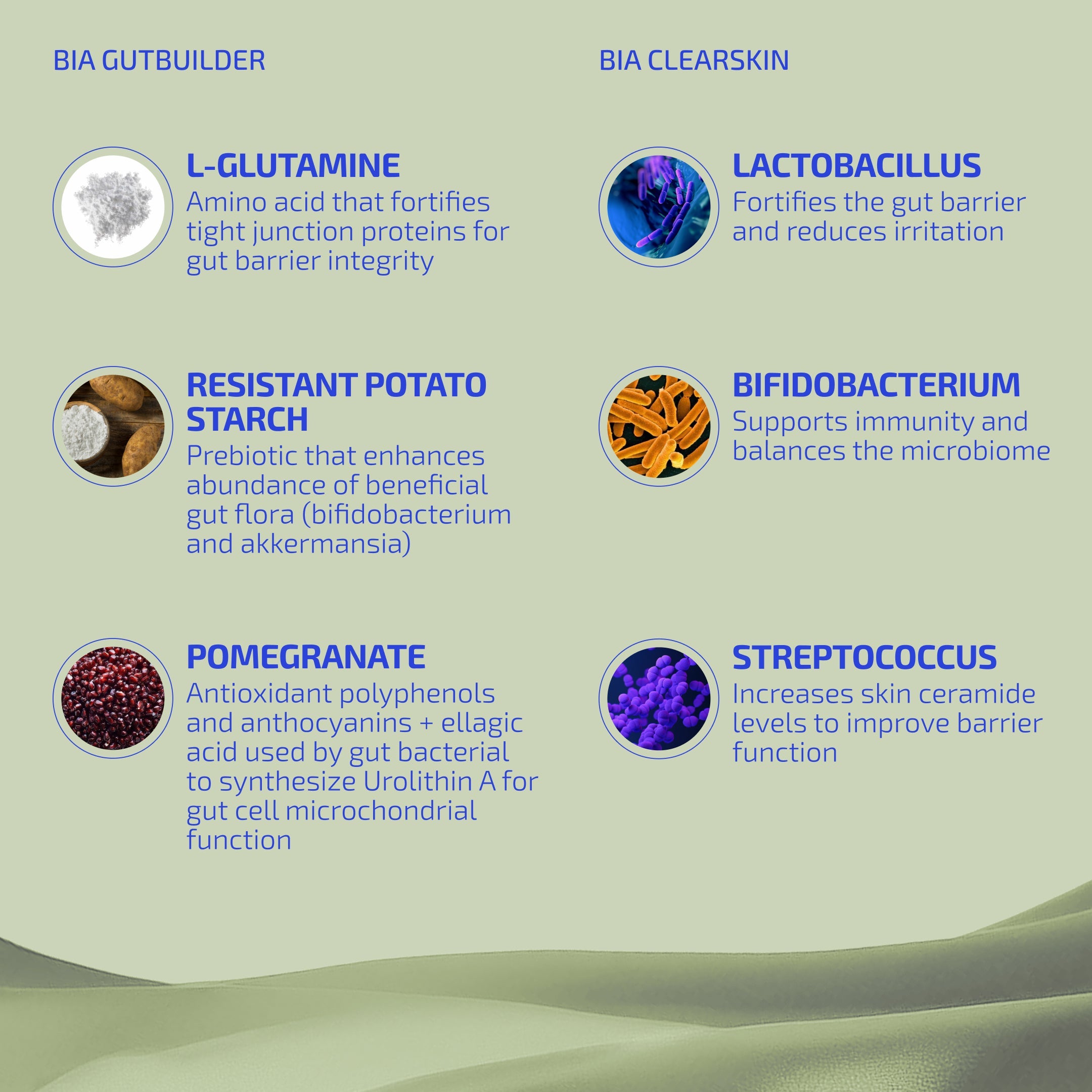 Gut & Skin Barrier Support Bundle (30 days) – Prebiotic + Probiotic for Eczema-Prone Skin (Age: 12+)