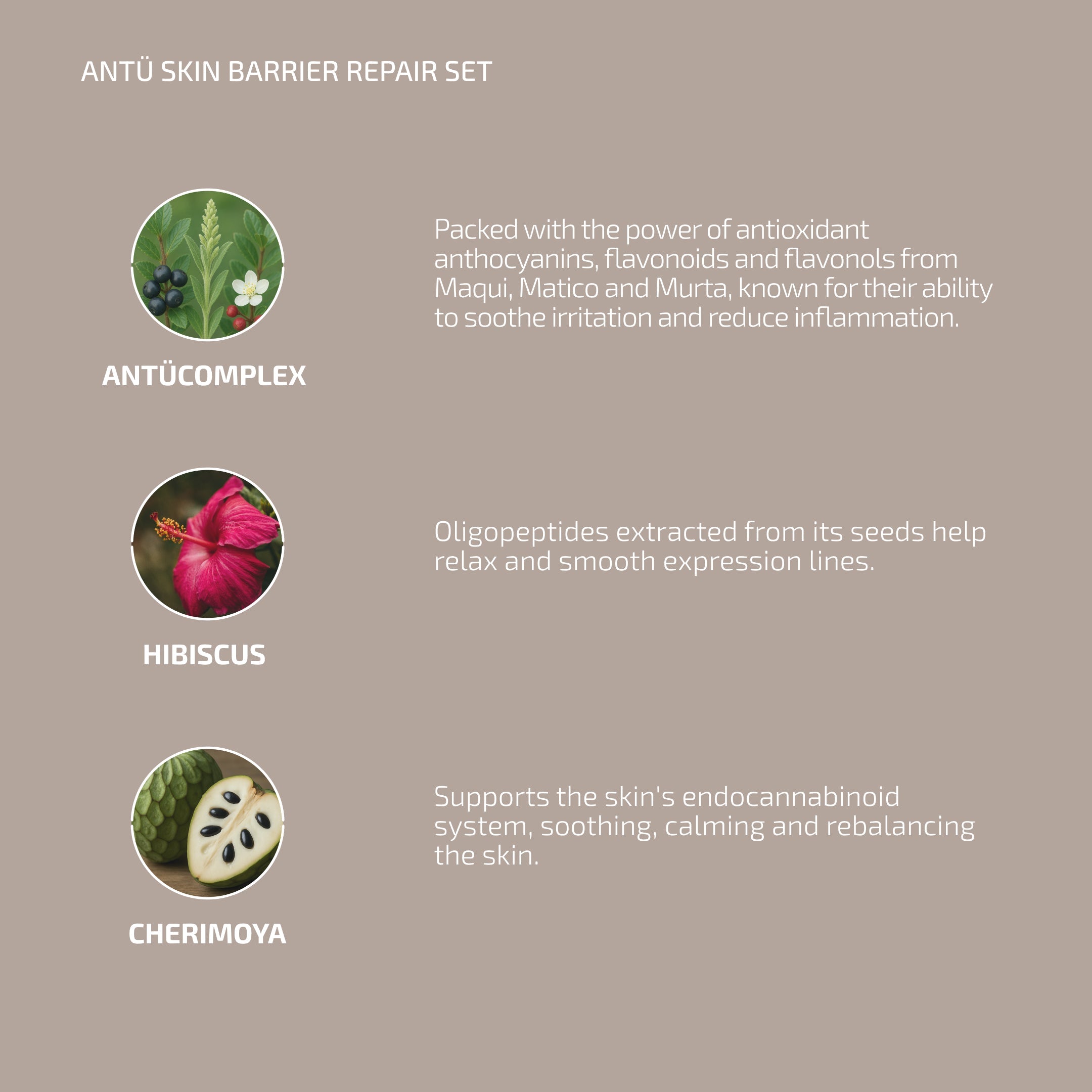 Antu Skin Longevity Protocol - Skin Barrier L-histidine supplement & M3 Antioxidant Serum (Age: 30-60+)