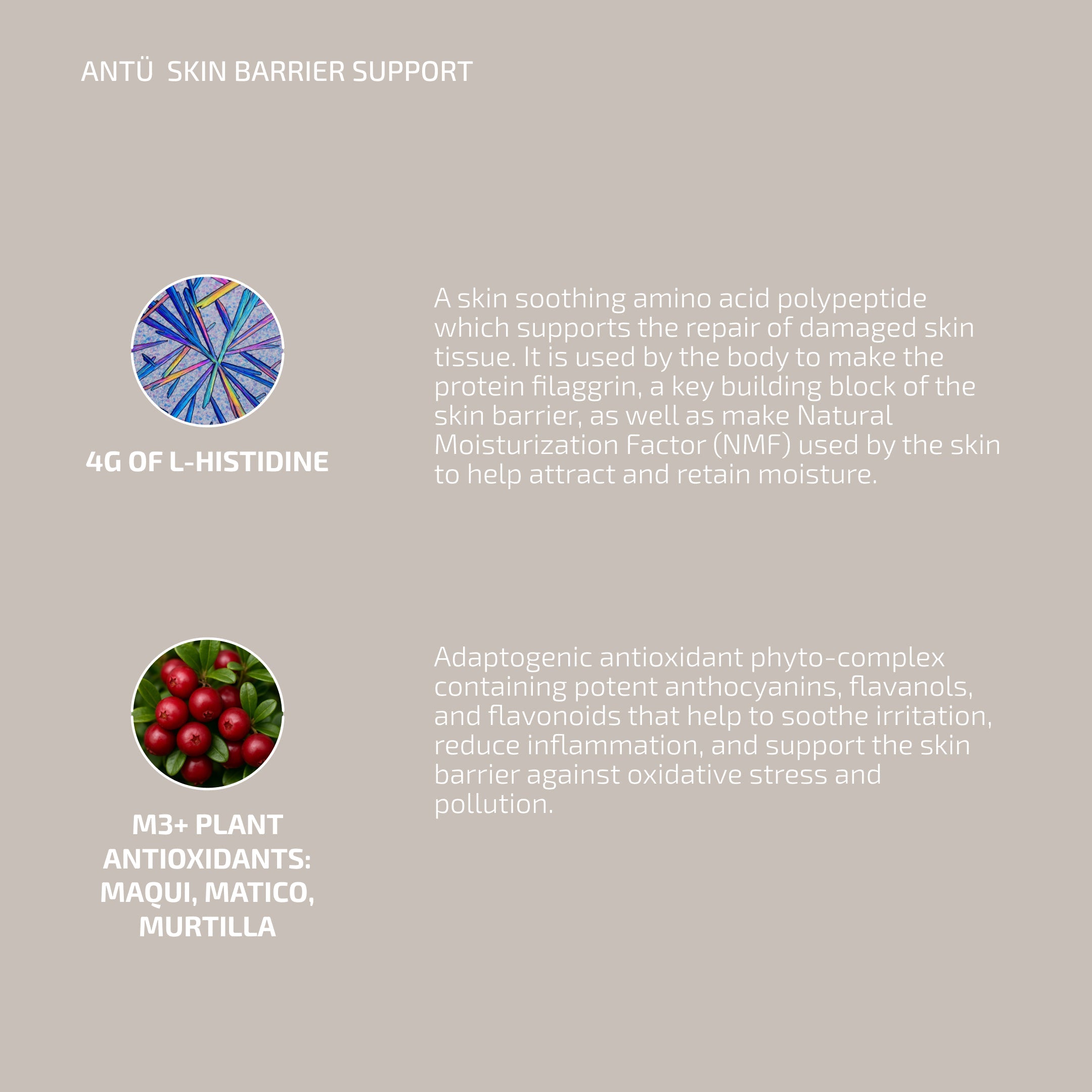 Antu Skin Longevity Protocol - Skin Barrier L-histidine supplement & M3 Antioxidant Serum (Age: 30-60+)