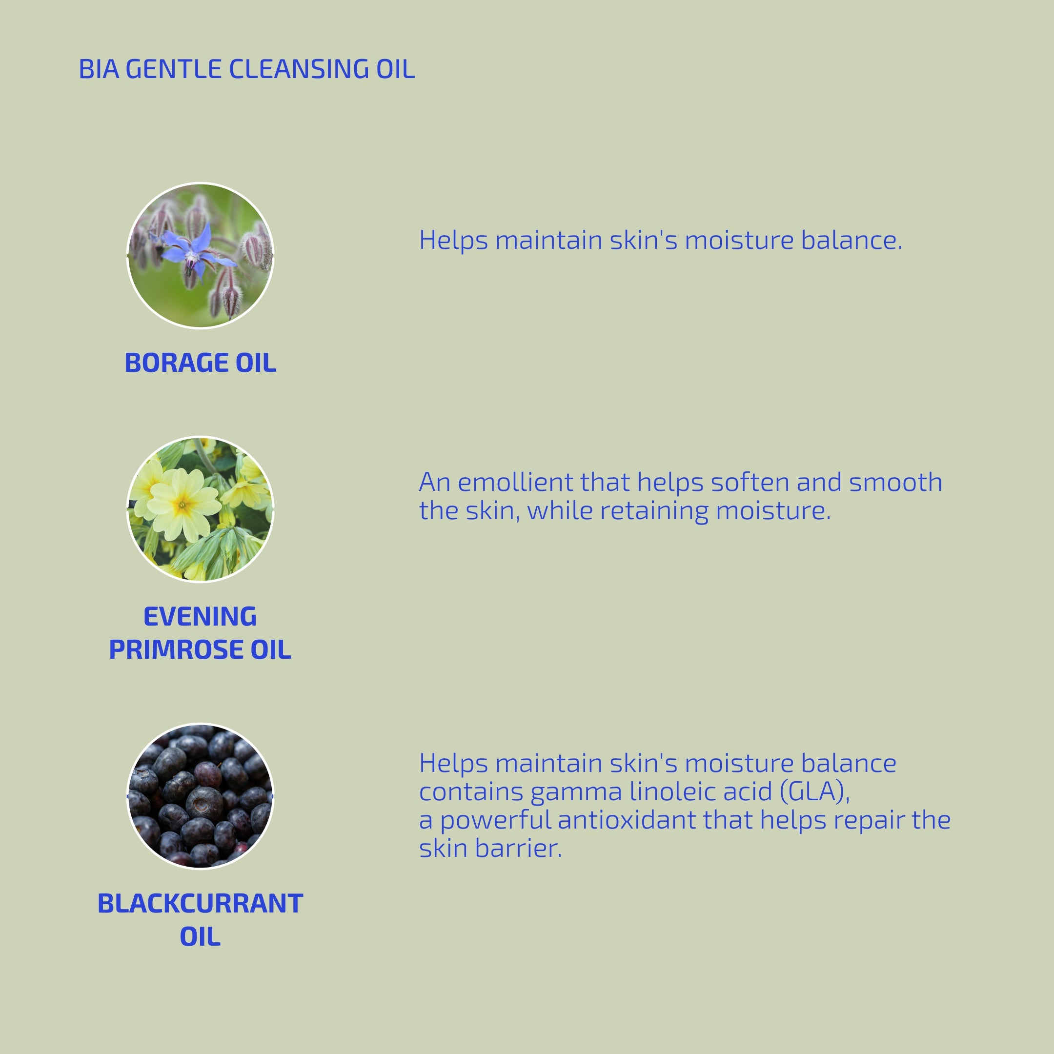 Bia Gentle Cleansing Oil 2.0 (3+ months)