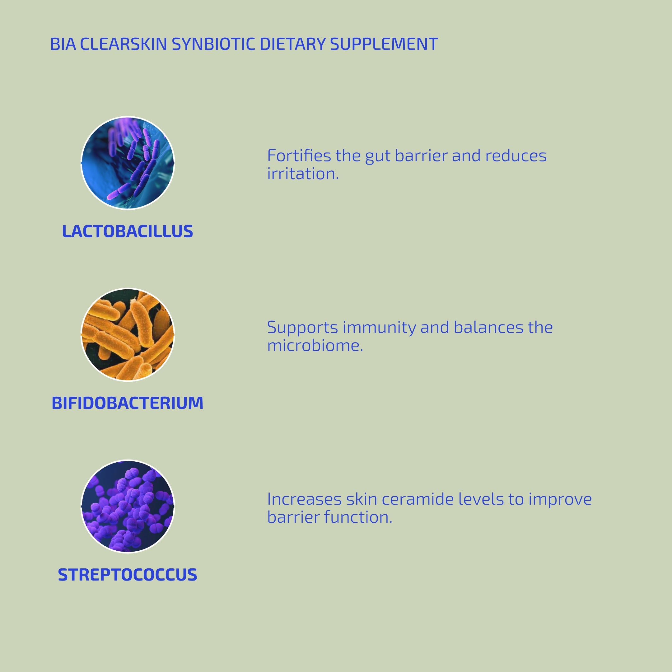 Clear Skin Synbiotic Supplement for Eczema-Prone Skin – 30 Capsules (Age: 12+)